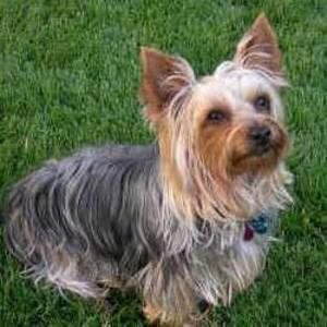 Meet your Posher, Pat